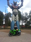 Avatar de Usuario